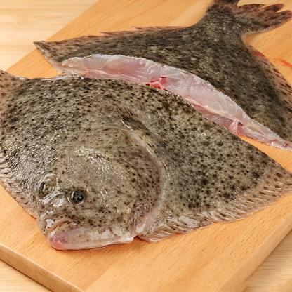 Fresh Frozen Turbot
