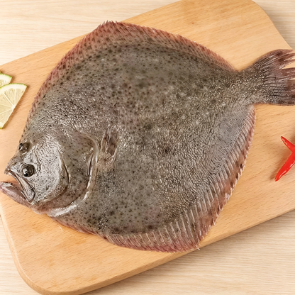 Fresh Frozen Turbot