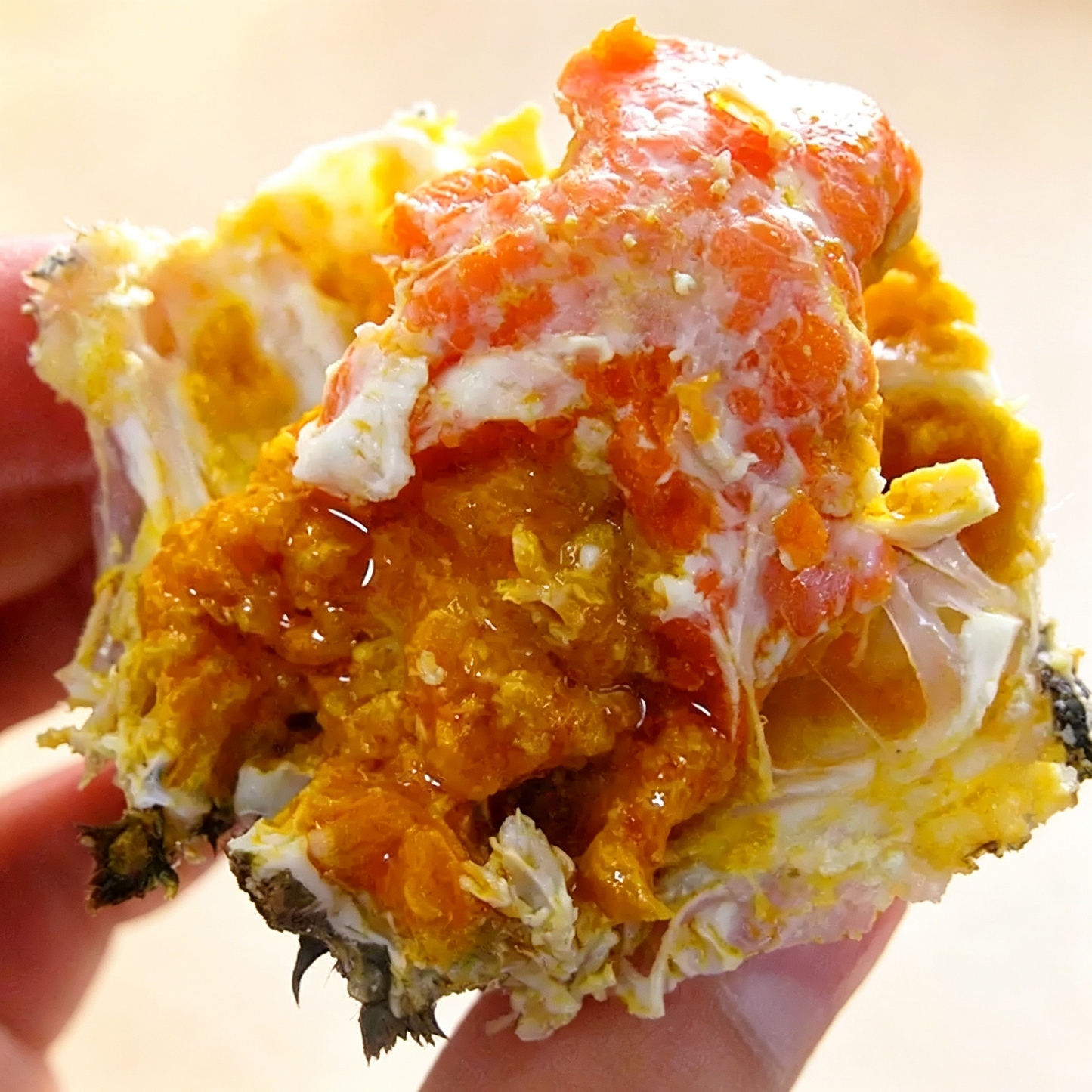 Frozen Cooked Female Chinese Mitten Crab