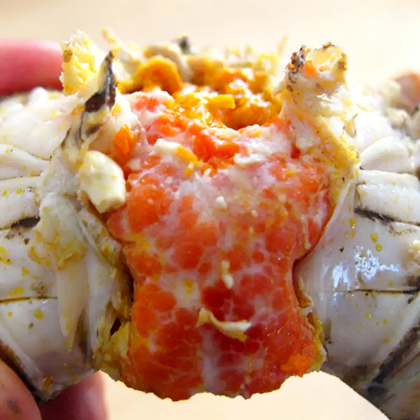 Frozen Cooked Female Chinese Mitten Crab