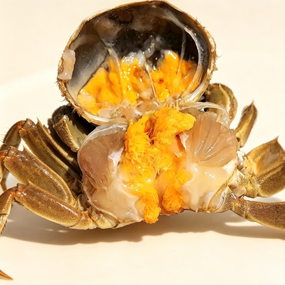 Frozen Hairy Crab Cut