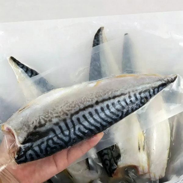 Frozen Norwegian Mackerel Fillets